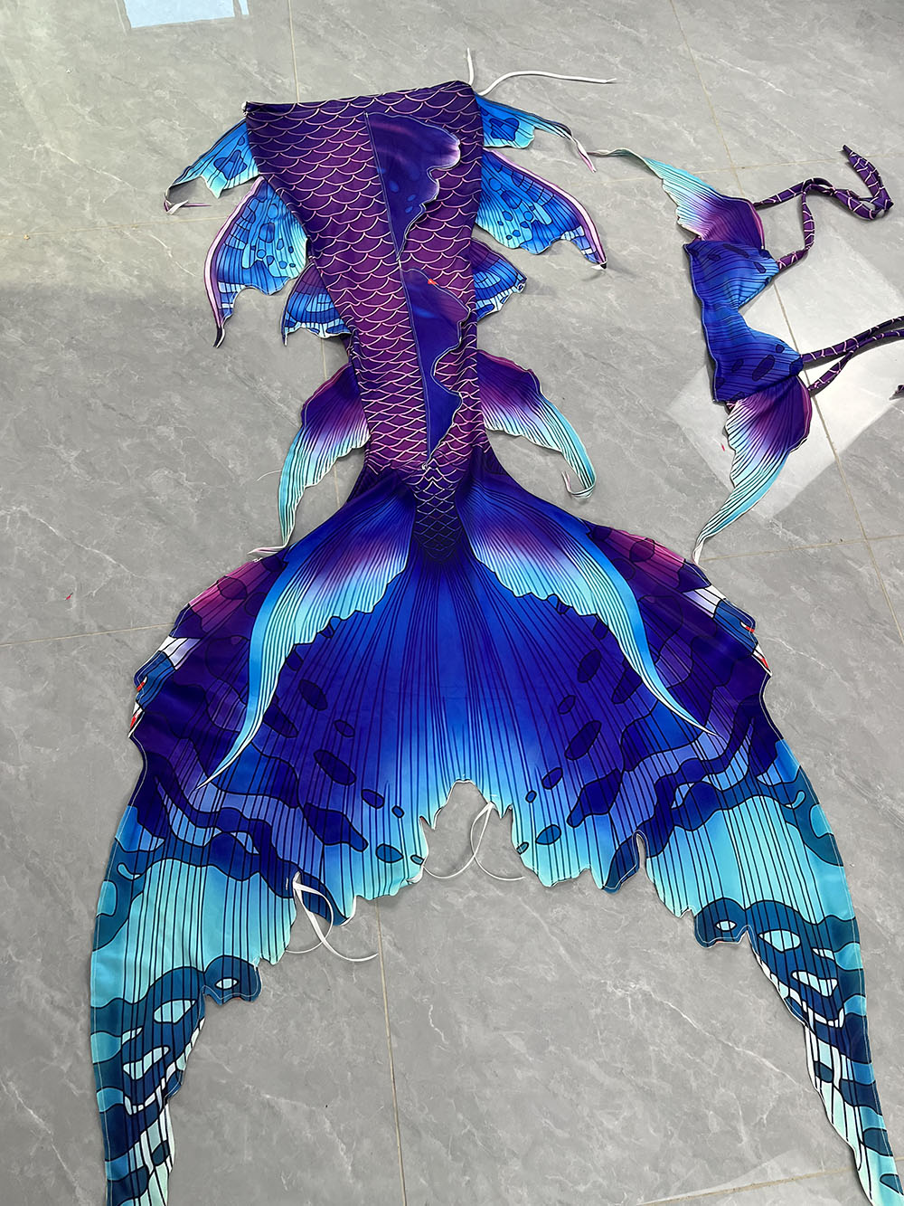 カラフルな夢のような人魚の尾水族館人魚パフォーマンスコスチュ - Aquarium & Marine Museum Universiti Malaysia Sabah Kota Kinabalu Sabah Photos のレビューと価格