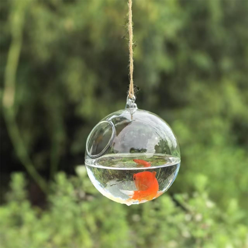 小型梱包直径=10cm 12cm 15cm 20cm 透明ガ - Aquarium & Marine Museum Universiti Malaysia Sabah Kota Kinabalu Sabah Photos のレビューと価格