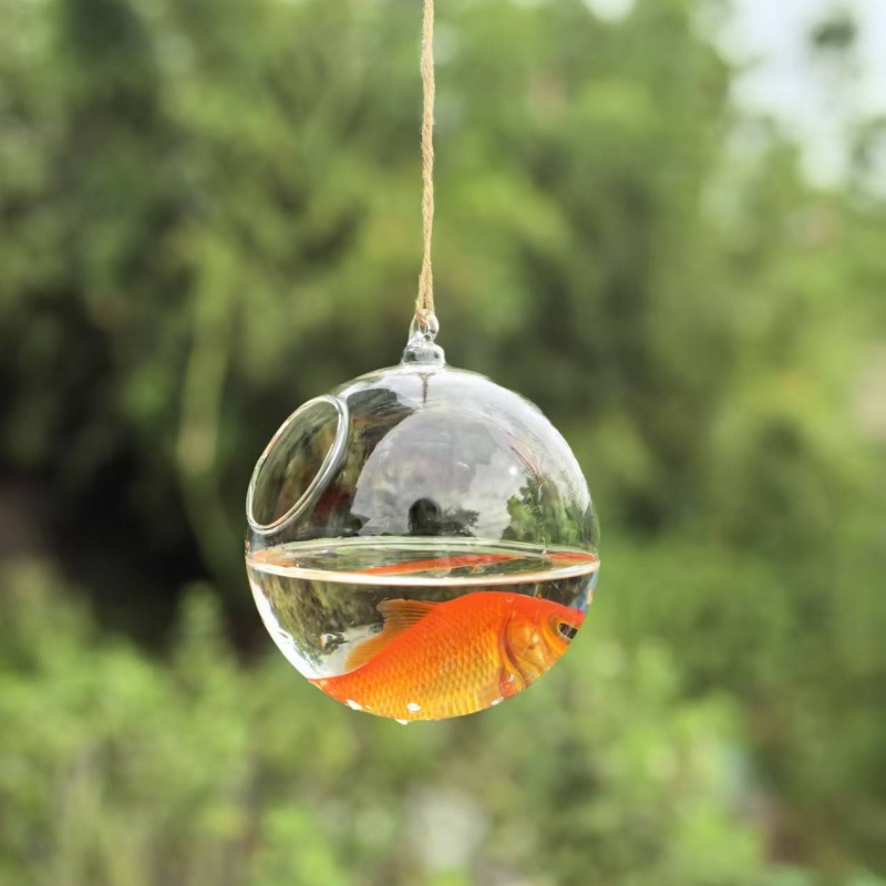 小型梱包直径=10cm 12cm 15cm 20cm 透明ガ - Aquarium & Marine Museum Universiti Malaysia Sabah Kota Kinabalu Sabah Photos のレビューと価格