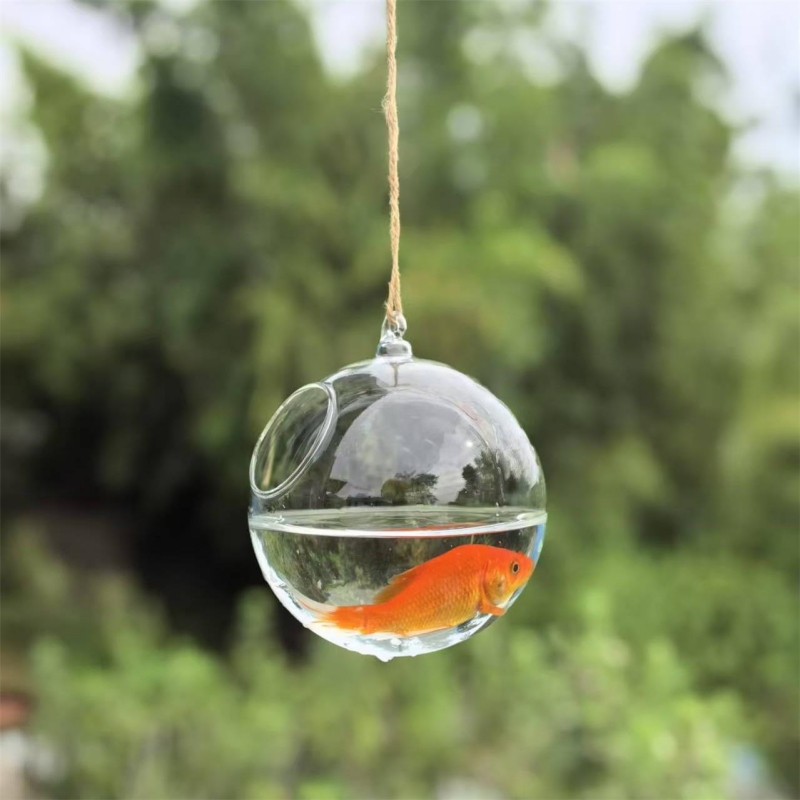 小型梱包直径=10cm 12cm 15cm 20cm 透明ガ - Aquarium & Marine Museum Universiti Malaysia Sabah Kota Kinabalu Sabah Photos のレビューと価格